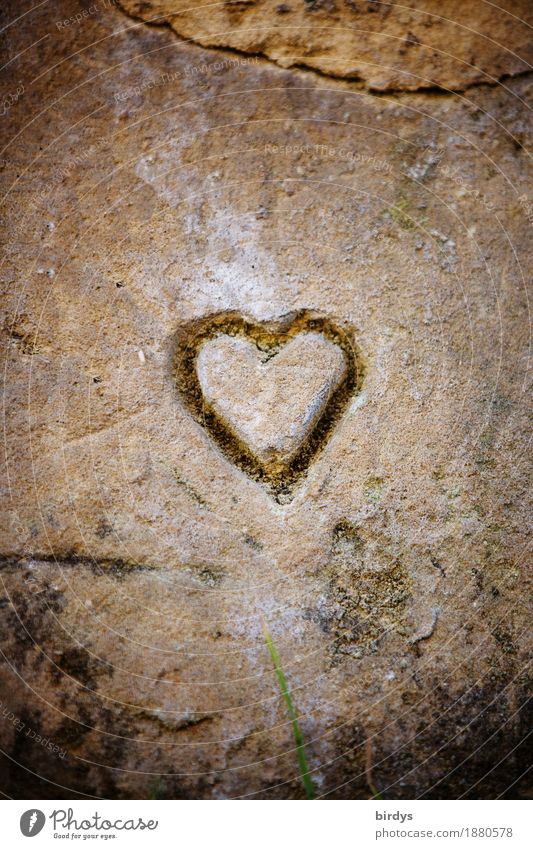 Herz aus Stein Mauer Wand Zeichen ästhetisch außergewöhnlich einfach Freundlichkeit positiv braun gelb grau Lebensfreude Liebe Verliebtheit Romantik
