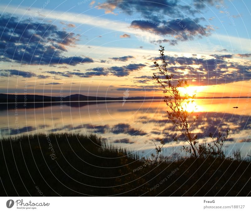 Sonnenuntergang Erholung ruhig Sonnenaufgang See Wasser genießen leuchten schön blau gold Stimmung Zufriedenheit Farbe Frieden Horizont Natur Umwelt Schweden