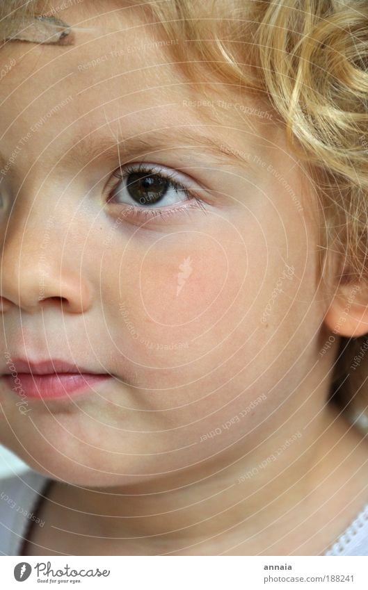 Sommerherz Mensch Kind Mädchen Kindheit Leben Haut Kopf Haare & Frisuren Gesicht Auge Mund Lippen 1 1-3 Jahre Kleinkind 3-8 Jahre Blick träumen Wachstum