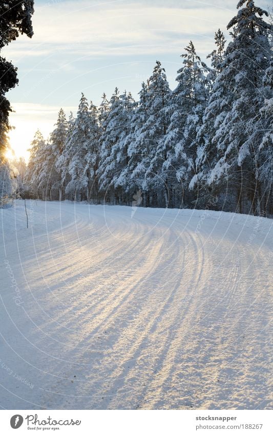 Winterstraße gepflügt Kurve nordisch Skandinavien Finnisch Finnland kalt Sonnenlicht Baum Wald Straße Schnee Arktis