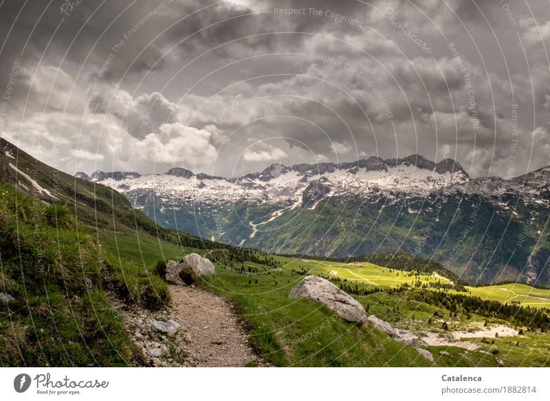 Gewittrig, Gebirgslandschaft mit Gewitterwolken Berge u. Gebirge wandern Landschaft Pflanze Sommer Klimawandel schlechtes Wetter Schnee Gras Alpen