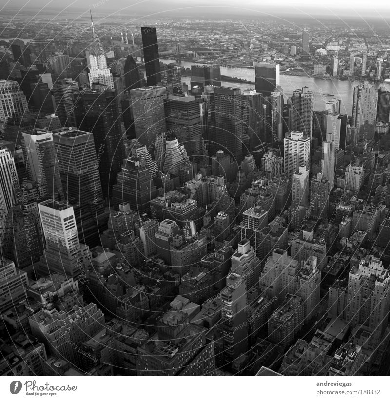 New York Stadtzentrum Skyline überbevölkert Wahrzeichen Häusliches Leben verrückt Schwarzweißfoto Außenaufnahme Menschenleer Abend Vogelperspektive