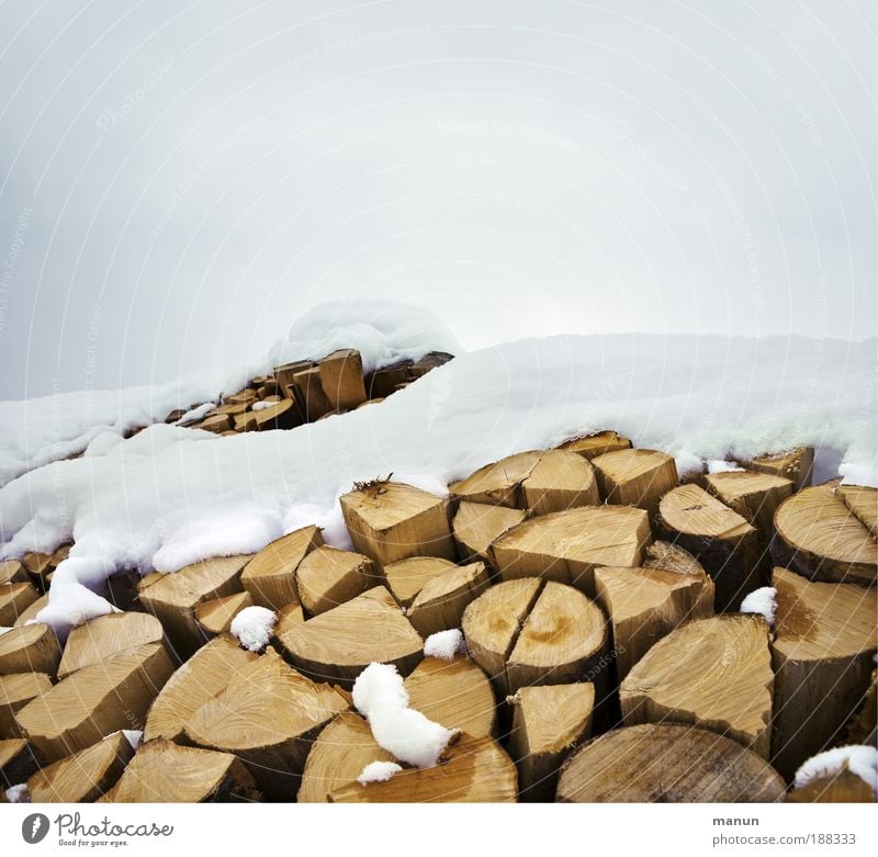 Brennholz Wohlgefühl Holzfäller Waldarbeiter Landwirtschaft Forstwirtschaft Erneuerbare Energie Umwelt Natur Winter Eis Frost Schnee nachhaltig natürlich kalt