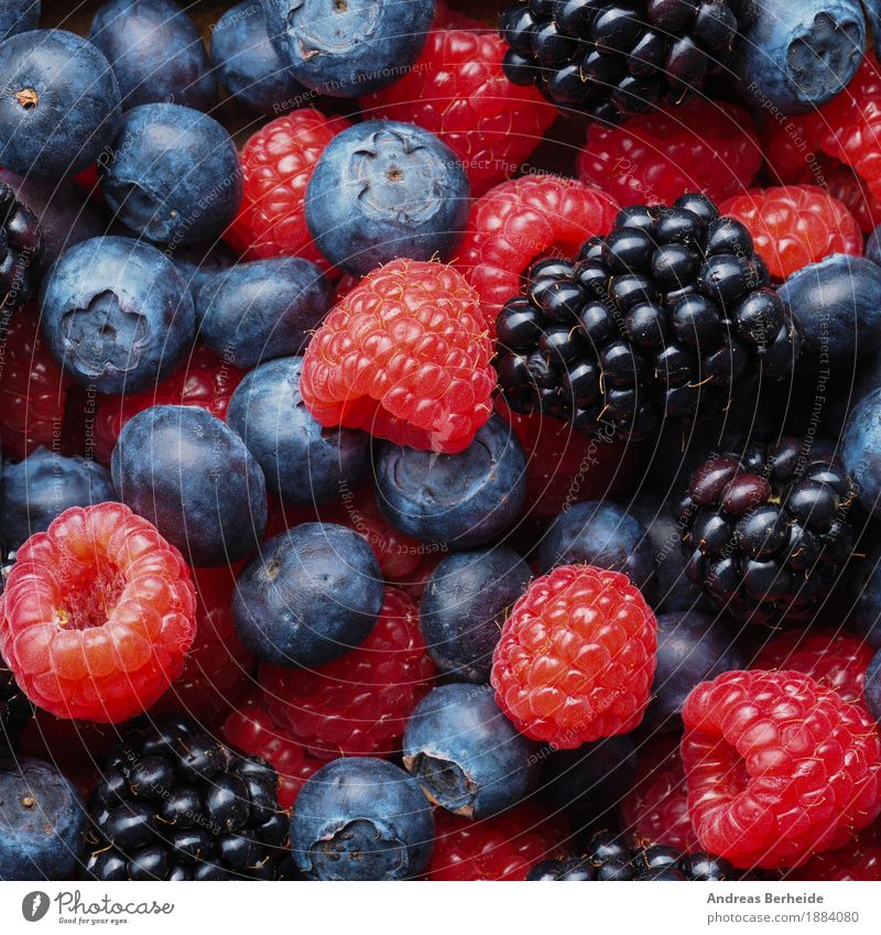 Frische Beeren Frucht Vegetarische Ernährung Gesunde Ernährung Gesundheit lecker berries Hintergrundbild mix red food dark Top assorted raspberries blue