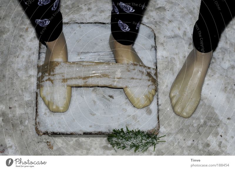 bestellt und nicht abgeholt Urelemente Winter Eis Frost Schnee außergewöhnlich verschneit Paket Klebeband Schaufensterpuppe Kunststoff Fußgängerzone Bekleidung