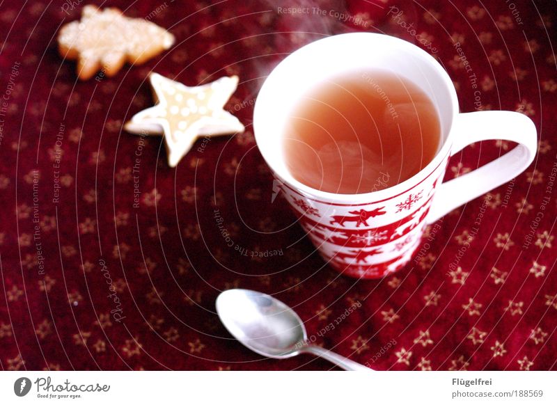 Das richtige bei dem Wetter Getränk Tee trinken gemütlich Erholung Elch Plätzchen Stern Tanne Wasserdampf Besteck Löffel Winter genießen Heißgetränk Tasse rot