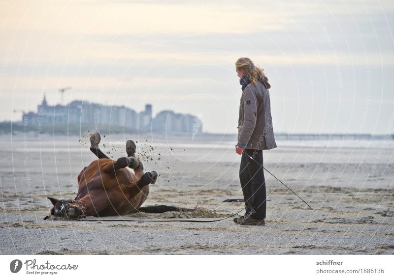 Genießen | Belgisches Rückenpeeling Mensch feminin Frau Erwachsene 1 Strand Haus Tier Pferd liegen stehen genießen Rückenlage Reibung Blick Füße hoch Sandstrand
