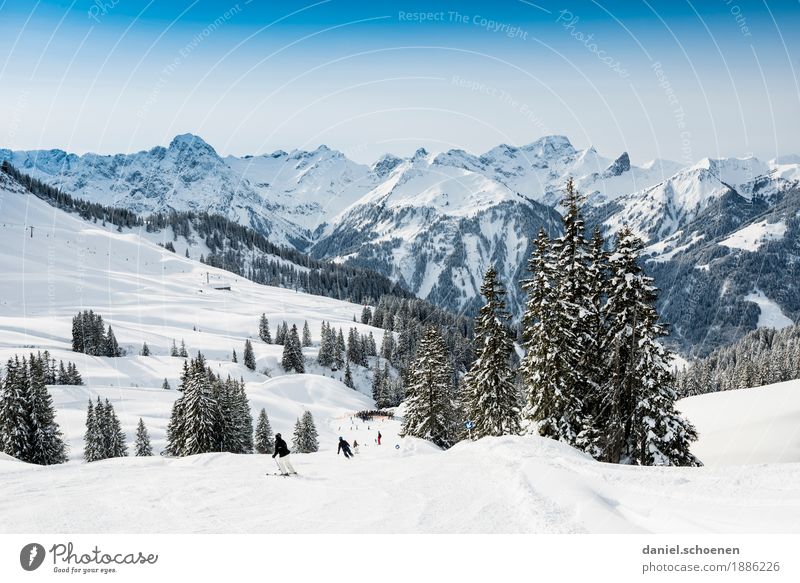 Abfahrt Freizeit & Hobby Ferien & Urlaub & Reisen Tourismus Winter Schnee Winterurlaub Berge u. Gebirge Sport Wintersport Skipiste Landschaft Wolkenloser Himmel
