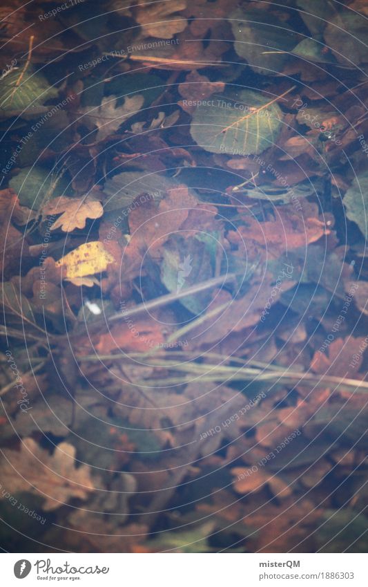 Herbstpfütze. Kunst ästhetisch Pfütze Blatt verrotten braun herbstlich Farbfoto mehrfarbig Außenaufnahme Detailaufnahme Experiment abstrakt Menschenleer