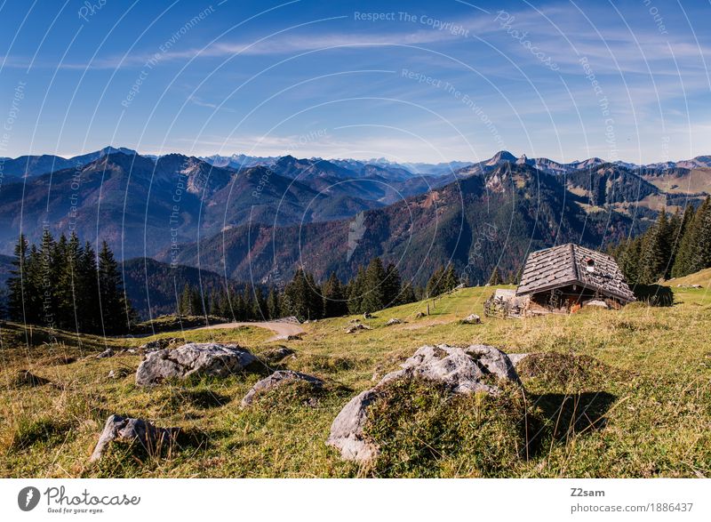 Heidi lässt grüßen Abenteuer Berge u. Gebirge wandern Umwelt Natur Landschaft Himmel Herbst Schönes Wetter Wiese Alpen Gipfel Hütte nachhaltig natürlich blau