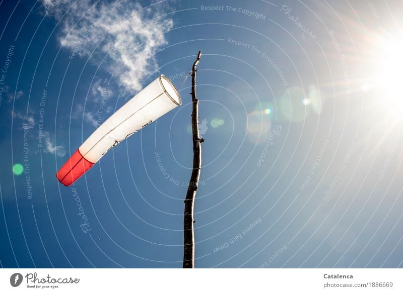 Orientierung | woher weht der Wind. Der Windsack zeigt sie an Startplatz Gleitschirmfliegen Himmel Sonne Sommer Schönes Wetter Ast Mast Holz Kunststoff