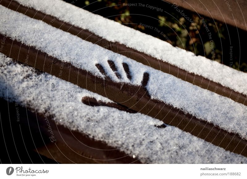 Erster Schnee Umwelt Natur Winter Klima Schönes Wetter Park Holz Kristalle Fußspur ästhetisch kalt neu braun silber weiß Stimmung Freude Romantik ruhig Reinheit