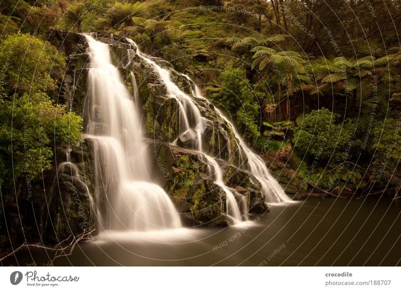 Waterfall New Zealand #1 Umwelt Natur Landschaft Pflanze Wasser Wassertropfen Baum Sträucher Moos Farn Urwald Teich Bach Wasserfall ästhetisch schön Kraft