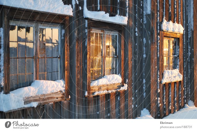 Goldener Abend harmonisch Winter Schnee Häusliches Leben Wohnung Haus Museum Kultur Schönes Wetter Eis Frost Dorf Mauer Wand Fassade Fenster Denkmal Holz Glas
