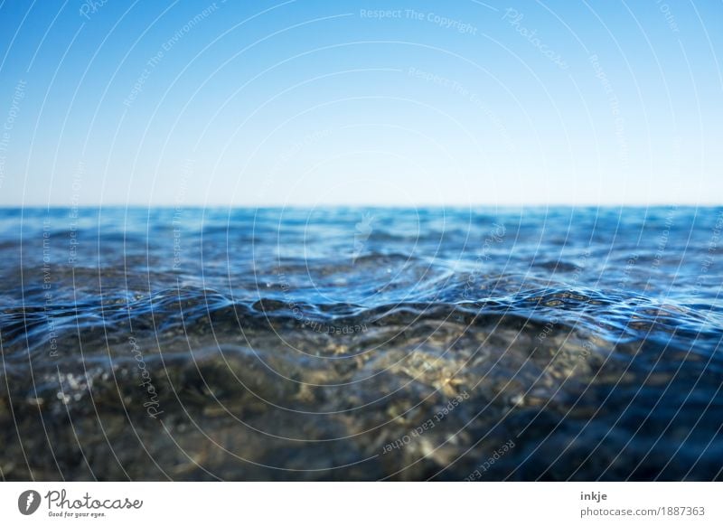 seicht Umwelt Natur Landschaft Urelemente Wasser Himmel Wolkenloser Himmel Horizont Schönes Wetter Wellen Küste Nordsee Ostsee Meer blau Wasseroberfläche