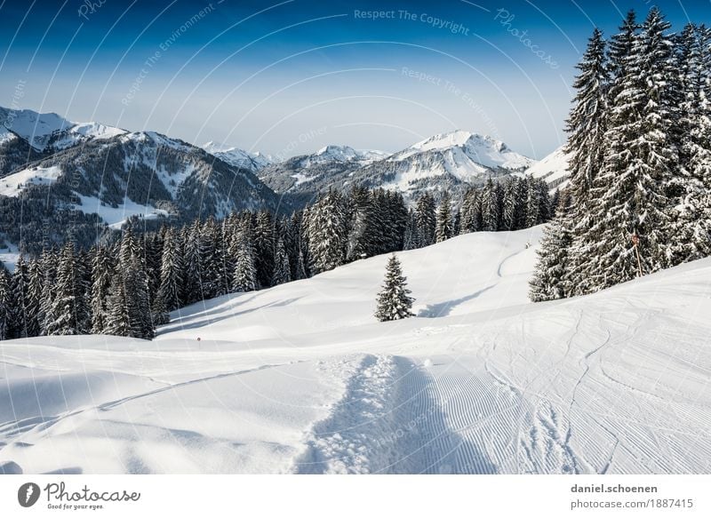 und runter geht's Ferien & Urlaub & Reisen Tourismus Winter Schnee Winterurlaub Berge u. Gebirge Skifahren Natur Landschaft Wolkenloser Himmel Alpen