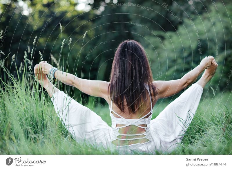 yoga pose Lifestyle Gesundheit sportlich Leben harmonisch Sinnesorgane Meditation Freiheit Sommer Yoga Mensch feminin Junge Frau Jugendliche 30-45 Jahre
