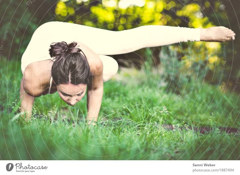 yoga pose Lifestyle Gesundheit sportlich Leben Wohlgefühl Zufriedenheit Meditation Yoga Mensch feminin Frau Erwachsene 1 30-45 Jahre Natur Sommer Schönes Wetter