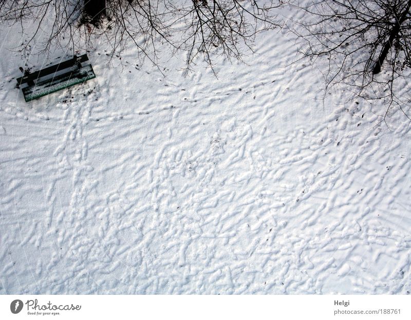 Spuren im Schnee Umwelt Natur Landschaft Winter Wetter Schönes Wetter Eis Frost Pflanze Baum Bank Holz atmen frieren ästhetisch einfach kalt natürlich braun