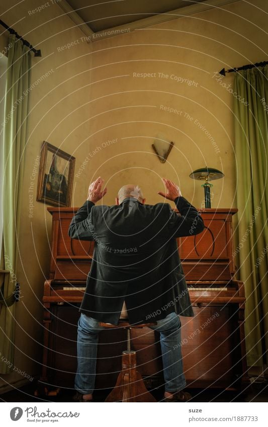 Musik | aus freien Stücken Stil Freude Freizeit & Hobby Mensch maskulin Mann Erwachsene Männlicher Senior Rücken 45-60 Jahre Kultur Konzert Musiker Klavier
