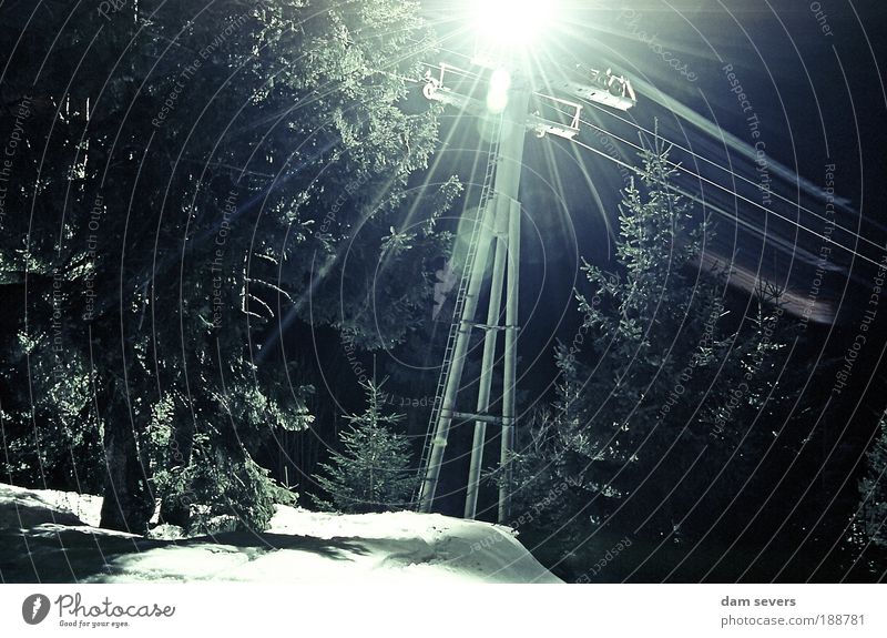 Shining Pylon Winter Schnee Wintersport Skipiste Natur Baum Berge u. Gebirge Pizol Seilbahn Stahl Bewegung fahren leuchten ruhig Farbfoto Außenaufnahme Nacht