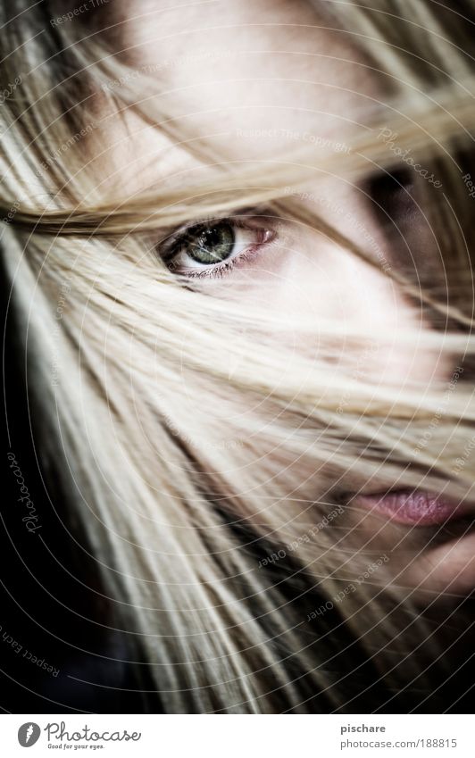 beautiful girl schön Haare & Frisuren Wohlgefühl Erholung feminin Junge Frau Jugendliche Kopf Gesicht Auge 18-30 Jahre Erwachsene blond langhaarig beobachten