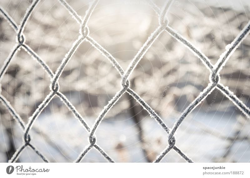 Light Natur Landschaft Eis Frost Schnee Metall Kristalle frieren gefangen Gitter Zaun Maschendraht Maschendrahtzaun Farbfoto Außenaufnahme Menschenleer Licht