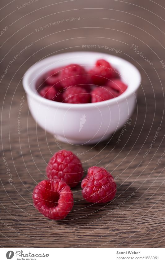 raspberries Lebensmittel Frucht Ernährung Bioprodukte Vegetarische Ernährung Natur Sommer Pflanze Sträucher Holz ästhetisch rosa rot Stimmung authentisch