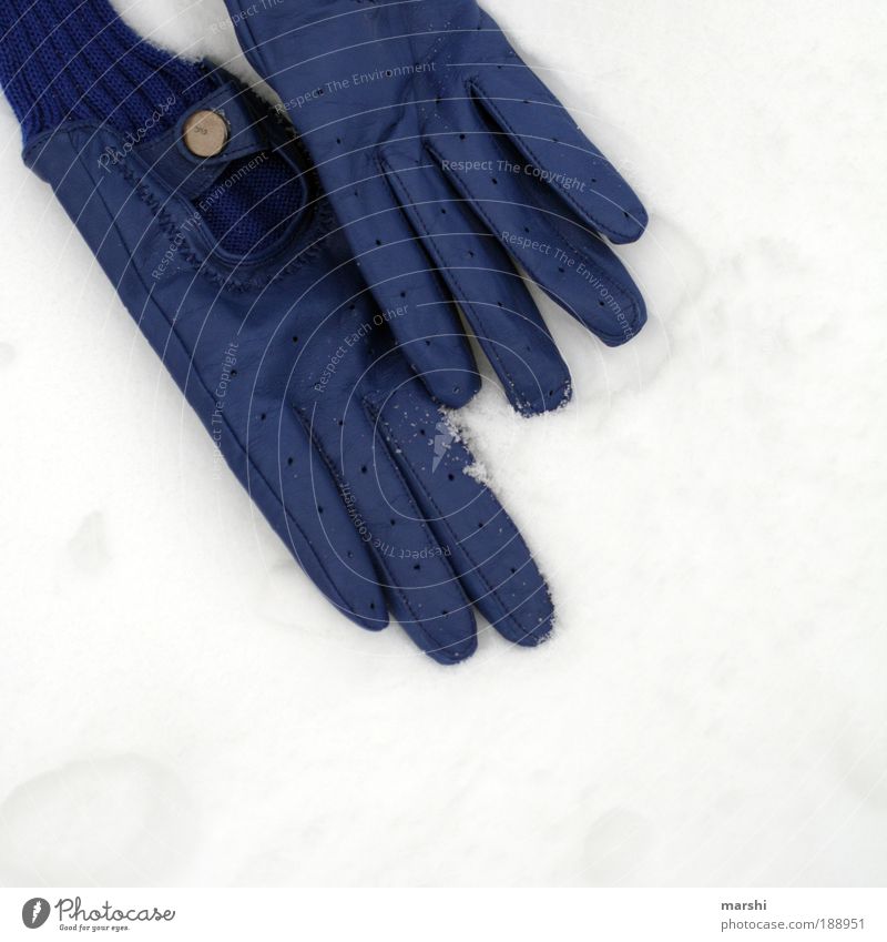 lost my gloves Stil Natur Winter Wetter Eis Frost Schnee blau weiß verloren liegen Handschuhe trendy Einsamkeit Suche kalt anziehen Farbfoto Außenaufnahme Mode