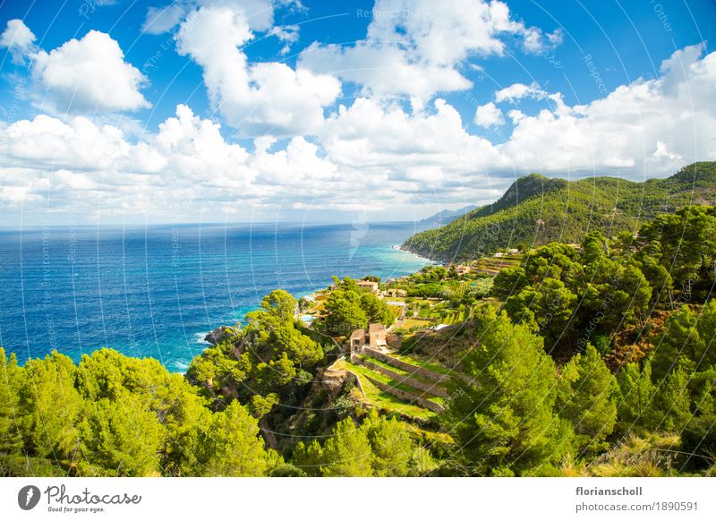 Coastline, Palma de Mallorca Natur Pflanze Wasser Himmel Sommer Garten Meer Ferien & Urlaub & Reisen frisch natürlich Originalität positiv stark wild blau grün