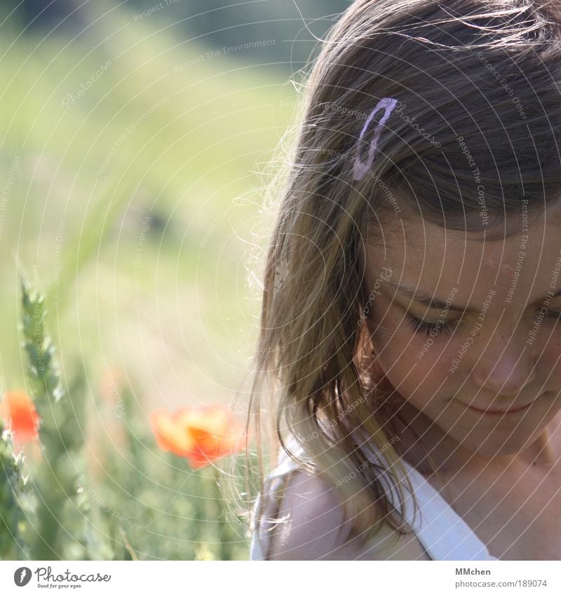 vertieft Mädchen Kopf Gesicht 1 Mensch 3-8 Jahre Kind Kindheit Natur Landschaft Pflanze Sommer Schönes Wetter Gras Mohn Getreide Feld Denken entdecken Lächeln