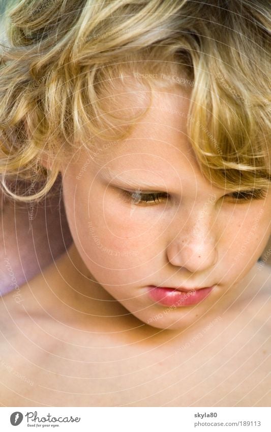 Goldschatz Kind blond Junge Gesicht Haare & Frisuren Locken Blick verträumt nachdenklich süss Kinderbetreuung perfekt lockig Kopf Kindergesicht