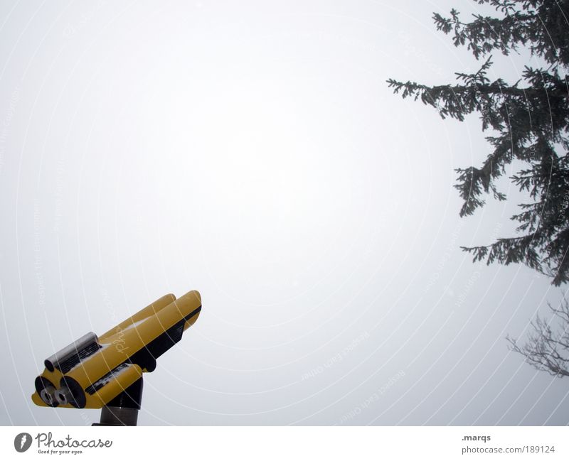 Trübe Aussichten Freizeit & Hobby Ferien & Urlaub & Reisen Tourismus Ausflug Ferne Winter Teleskop Himmel Klima schlechtes Wetter Nebel Eis Frost Baum