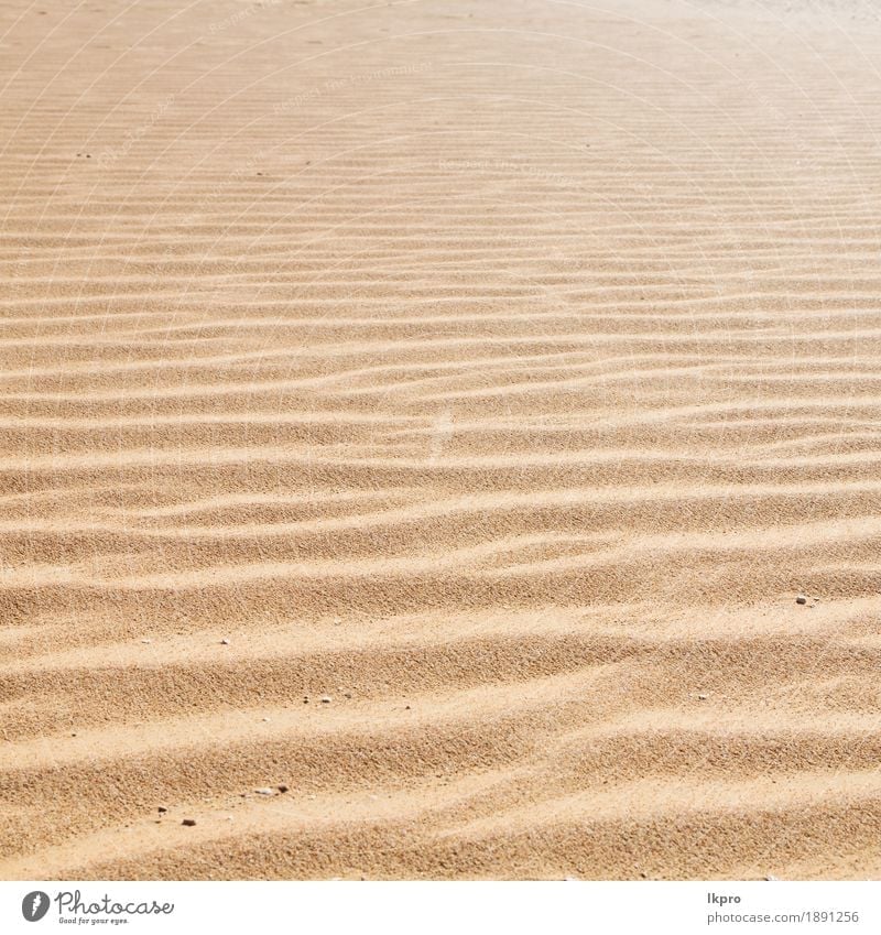 alte Wüste und das leere Viertel Design Sommer Strand Meer Umwelt Natur Erde Sand Klima Wetter Dürre Küste heiß braun gelb grau schwarz weiß Tod trocken