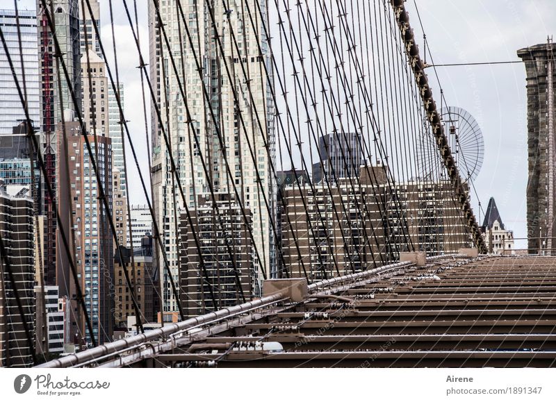 Drahtverhau New York City Amerika Stadt Stadtzentrum Skyline Hochhaus Brücke Hängebrücke Fassade Strebe Seil Stahlkabel Drahtseil Verstrebung Brooklyn Bridge