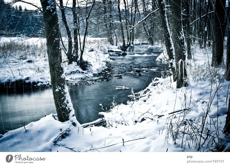 -7° Umwelt Natur Landschaft Wasser Winter Eis Frost Schnee Baum Bach Fluss Tal Waldlichtung Trauer Einsamkeit ruhig Januar Februar Erholung Vergänglichkeit