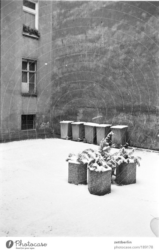 Mein erster Hinterhof Schwarzweißfoto Hof Müll Müllbehälter Schnee Winter Neuschnee kalt Grünpflanze hofbegrünung Blumentopf blumenkübel Kübel Beton Mauer