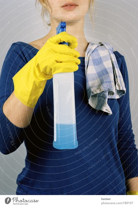 jung Frau in bleuen Pullover mit Sprühflasche, gelben Handschuhen und Geschirrhandtuch Raum Arbeit & Erwerbstätigkeit Beruf feminin Junge Frau Jugendliche