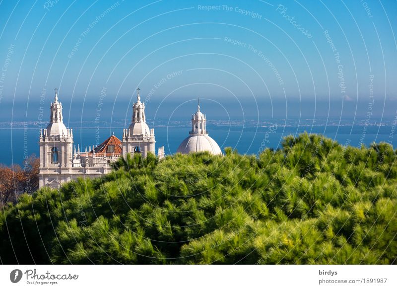 Kloster São Vicente de Fora und das Pantheon in Lissabon Ferien & Urlaub & Reisen Sightseeing Städtereise Pflanze Wolkenloser Himmel Horizont Schönes Wetter