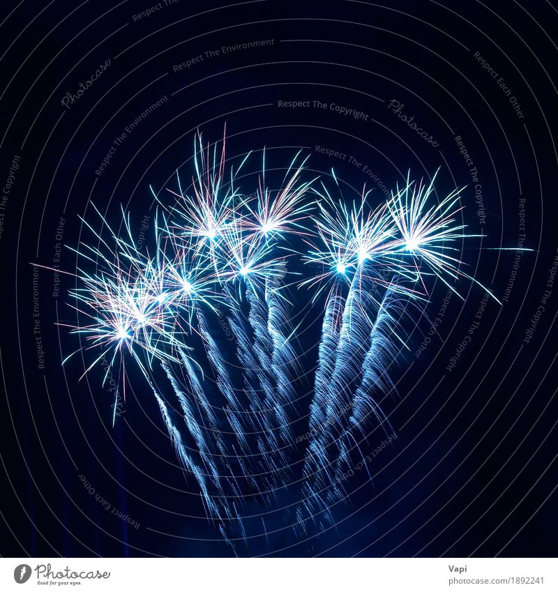 Buntes Feuerwerk am schwarzen Himmel Freude Freiheit Nachtleben Entertainment Party Veranstaltung Feste & Feiern Weihnachten & Advent Silvester u. Neujahr Kunst
