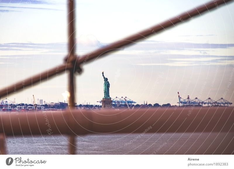 gewisse Einschränkungen New York City USA Hauptstadt Menschenleer Brücke Brückengeländer Sehenswürdigkeit Denkmal Freiheitsstatue Hafen Röhren Bekanntheit braun