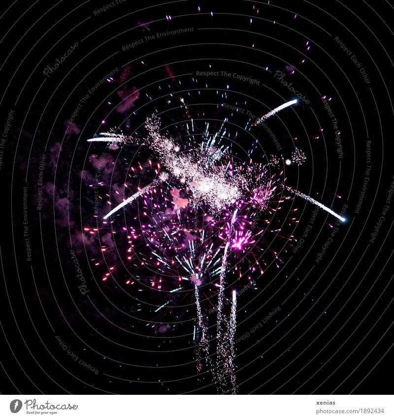 violettes Feuerwerk am schwarzen Himmel Pyrotechnik Nacht Sekt Prosecco Nachtleben Party Veranstaltung Feste & Feiern Nachthimmel Stern Rauch fliegen Freude