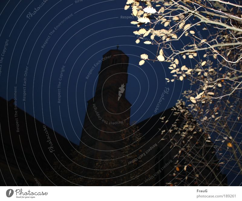 Kirche bei Nacht Nachthimmel Herbst Baum Turm Stein träumen alt groß blau weiß ruhig ästhetisch Religion & Glaube Außenaufnahme Menschenleer Abend