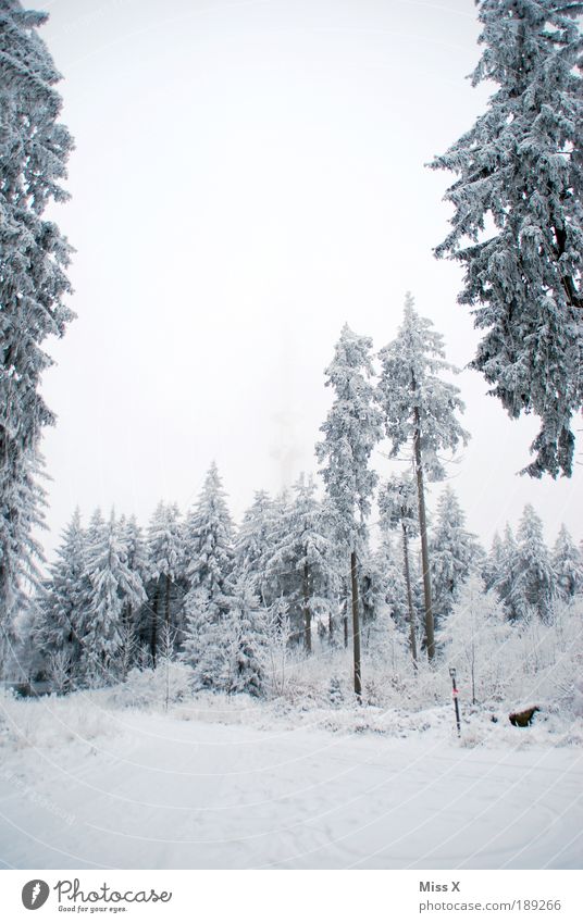 Waldstein Ferien & Urlaub & Reisen Ausflug Winter Schnee Winterurlaub Berge u. Gebirge Umwelt Natur Wolken Klima Klimawandel Wetter Eis Frost Baum Sträucher