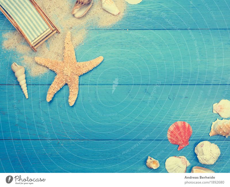 Urlaub Ferien & Urlaub & Reisen Sommerurlaub Strand Meer Sand Erholung Freizeit & Hobby Tourismus Wunsch Deckchair Starfish vacation trip natural Paneele plank