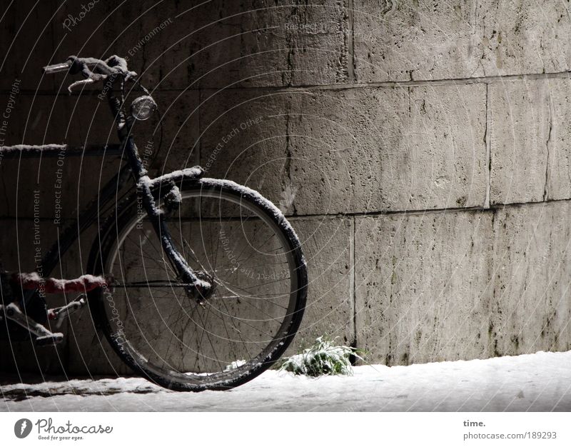 Frostmöhre Fahrrad Rad Fahrradlenker Metall Metallwaren Gestänge Fahrradrahmen Schutzblech Mauer Sandstein Außenaufnahme Kunstlicht Nacht Speichen Pedal Nabe