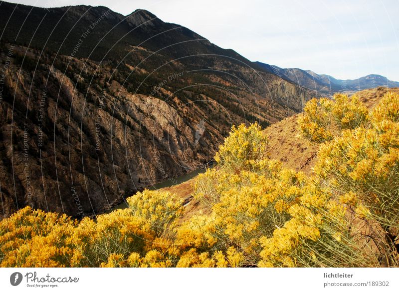Fraser Canyon Ferne Natur Landschaft Pflanze Herbst Wärme Blume Sträucher Felsen Berge u. Gebirge gigantisch schön einzigartig Farbfoto Außenaufnahme Tag