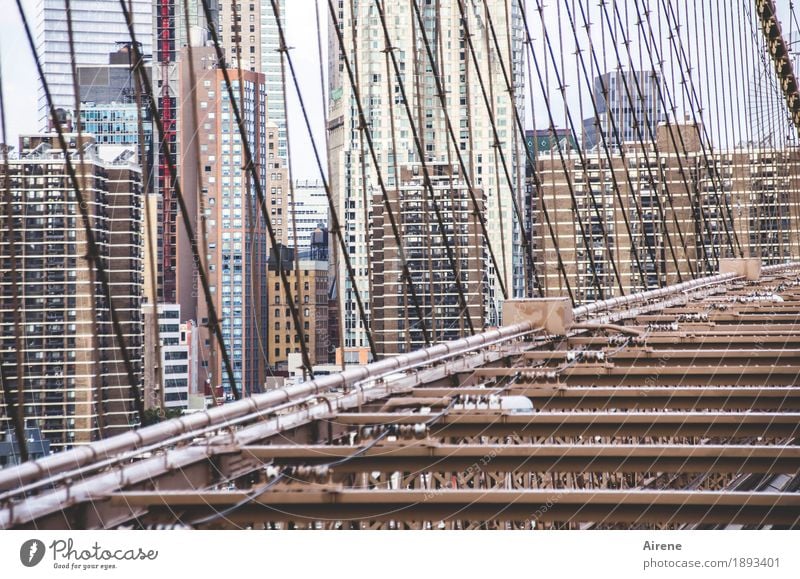 Abenteuerspielplatz New York City Manhattan Stadtzentrum Skyline Haus Hochhaus Brücke Architektur Sehenswürdigkeit Brooklyn Bridge Drahtseil Stahlträger Metall
