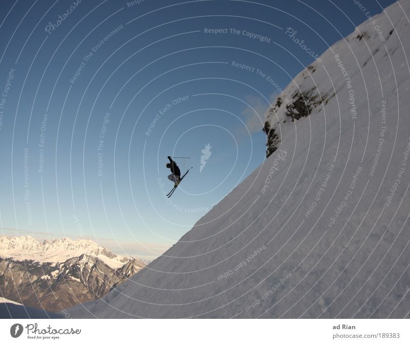Ein komischer Vogel Stil Freude Freizeit & Hobby Freiheit Sonne Winter Schnee Sport Skipiste Offroad Natur Luft Schönes Wetter Eis Frost Felsen Alpen