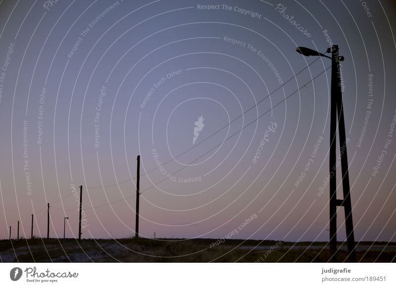 Reihe Kabel Landschaft Energie Stromversorgung Licht Lampe Strommast Energiewirtschaft Abend Sonnenuntergang Ostsee Küste Darß Fischerstrand Farbfoto